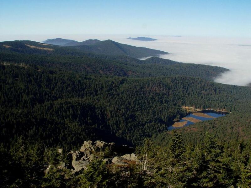 Umgebung: Wandern Arbersee