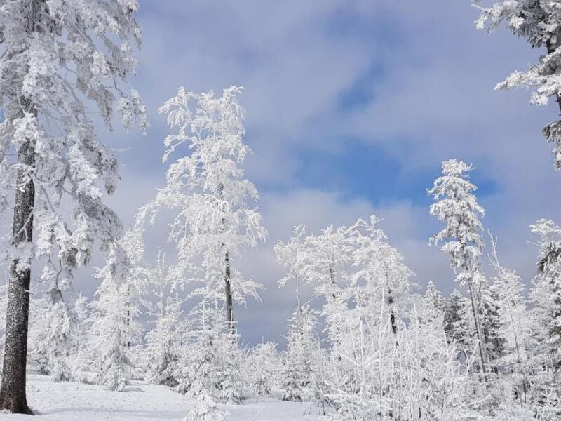 Umgebung: Winterlandschaft