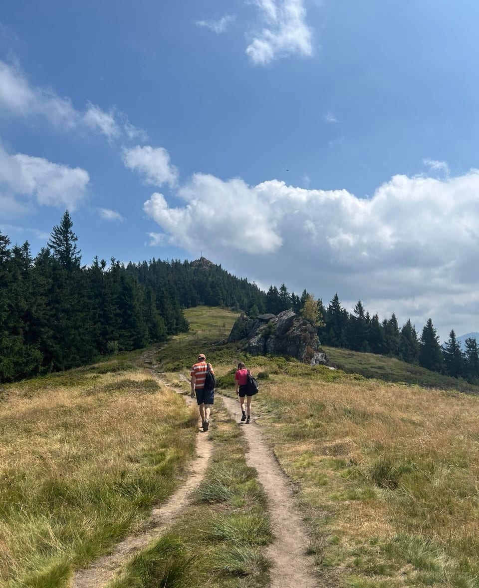 Zwei Wanderer auf einem Wiesenweg, der zum bewaldeten Gipfel hinaufführt